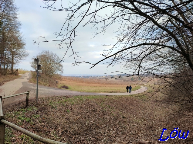 14.2.2023 - Blick Richtung Weinberge